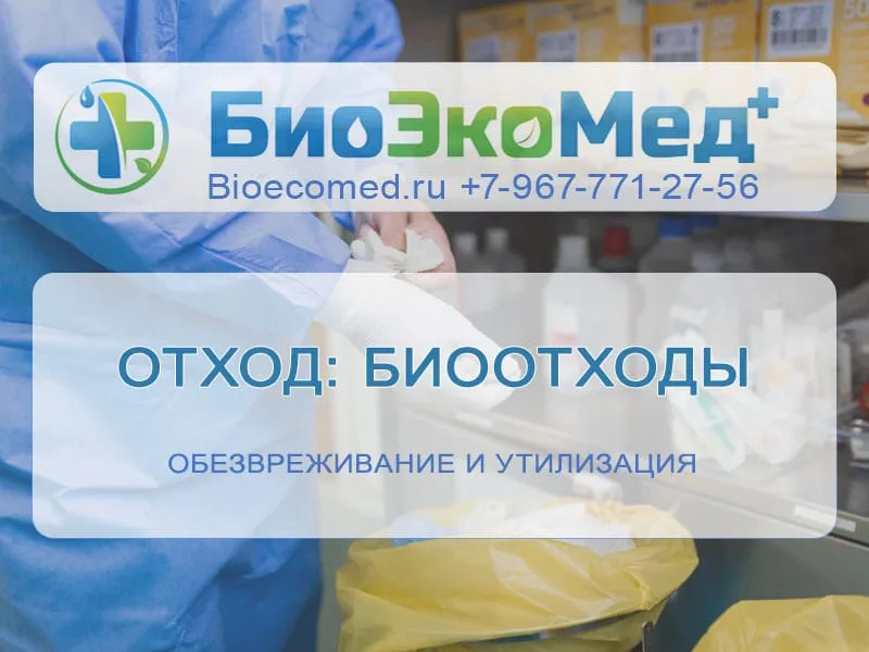 Отход: биоотходы
